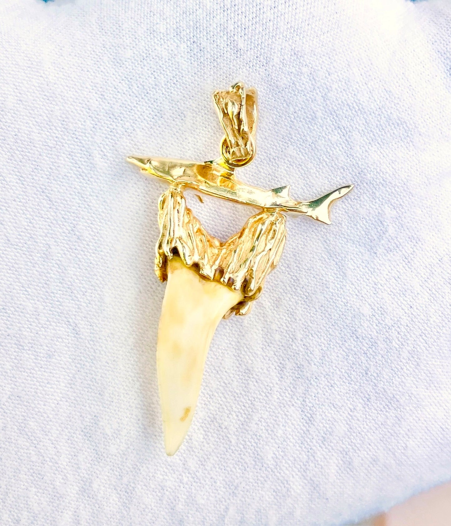 14k Gold Shark and Tooth Pendant