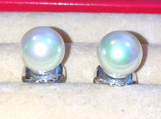 "Pearl" Earrings